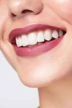 Nourishing Teeth and Gums